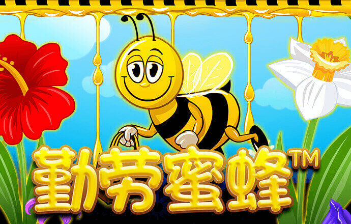 鸿博体育平台官网入口